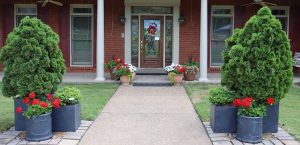 geraniums in planters on porch