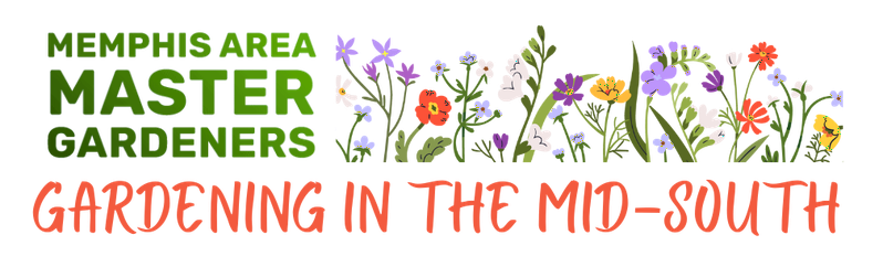 MAMG Gardening in the Mid-South