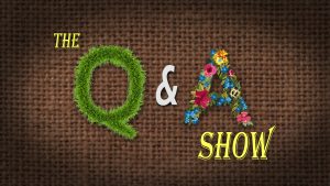 The Q and A Show